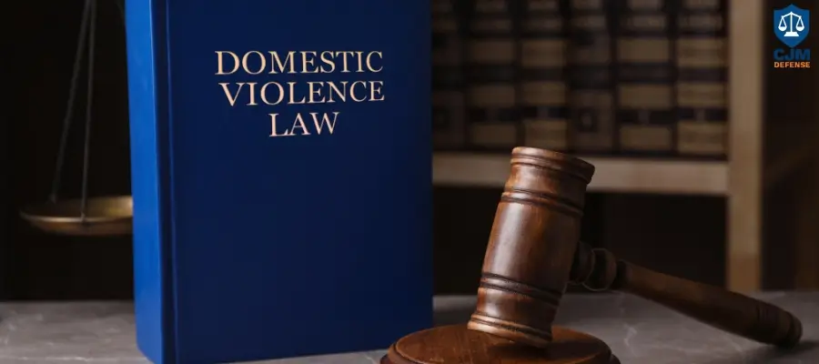 Best Fullerton Domestic Violence Defense Lawyer